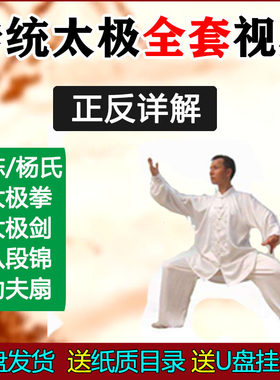 太极拳视频U盘自学教程杨氏陈氏24/85老架一路32剑八段锦健身气功