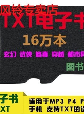 TXT文字小说U盘内储存电子书有声小说抖音MP3歌曲MP4TF/SD卡
