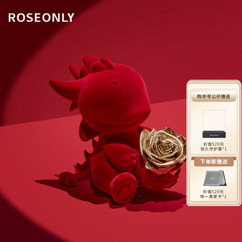 ROSEONLY抱抱龙永生花