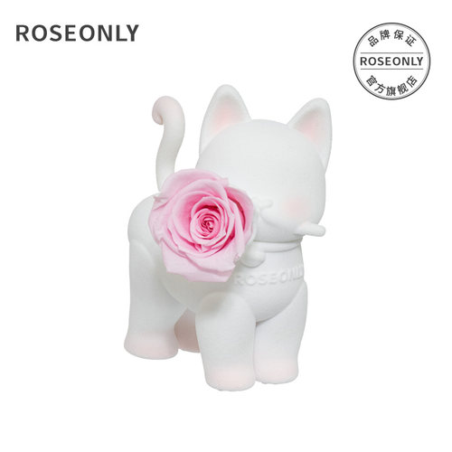 ROSEONLY诺誓嘻嘻猫永生玫瑰花