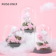 ROSEONLY诺誓玫瑰心宠甜心兔悦慕马永生花送女友爱人节日礼物