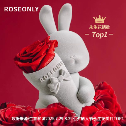 ROSEONLY诺誓永生花甜心兔玫瑰礼盒生日情人节送女友礼物真花摆件