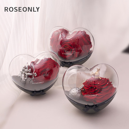 ROSEONLY甜心兔熊花球永生花礼盒