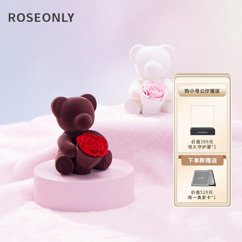 ROSEONLY苏格熊永生花