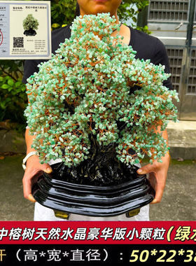 黑底中榕树天然绿水晶