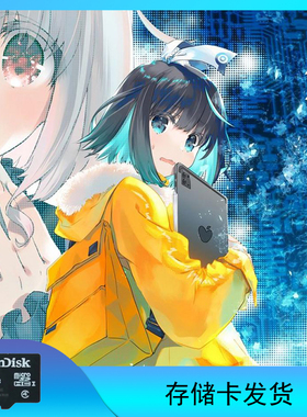 16位的辉煌（16bit的感动）动漫TF存储卡U盘