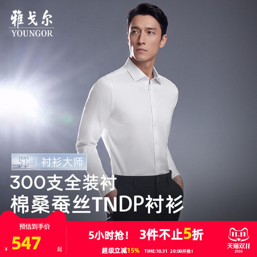 雅戈尔长袖商务绅士衬衫