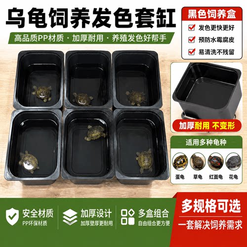 养龟盒家用宠物盒塑料