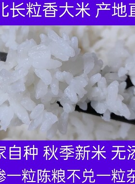 2025年新米黑龙江东北大米农家自种长粒香10斤袋装粳米非转基因