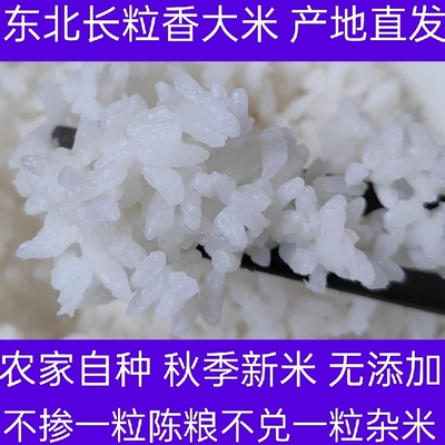 2025年新米黑龙江东北大米农家自种长粒香10斤袋装粳米非转基因