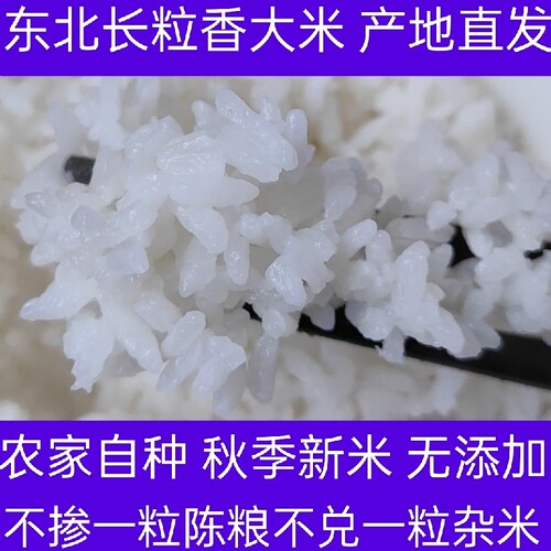 2025年新米黑龙江东北大米农家自种长粒香10斤袋装粳米非转基因