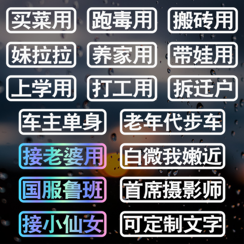 摩托车贴纸定制文字电动汽车装饰老年代步车个性创意接老婆买菜用