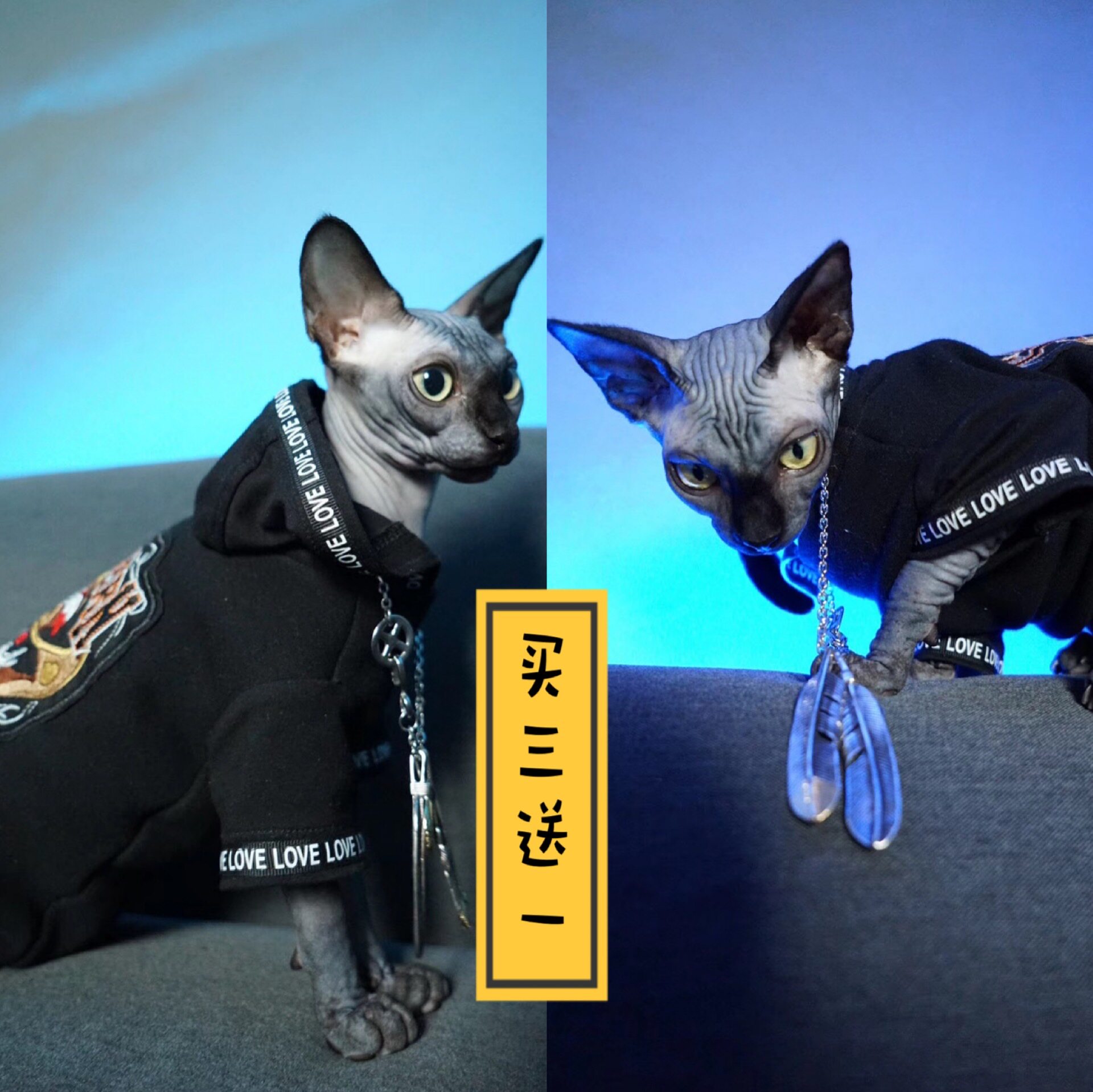 斯芬克斯无毛猫骷髅头宠物定制德文猫咪衣服狗狗冬夏装帽衫款在类目 宠物/宠物食品及用品, 宠物服饰及配件, 宠物服装/雨衣中 - 来自Buy2taobao.com提供专业的淘宝代购服务