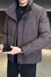 店主风2025冬季新款立领加厚羽绒服男标绒保暖外套8179-P200，男装羽绒服，电商D238