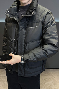 店主风2024冬季主推羽绒服男短款立领标绒外套8869--P165图片