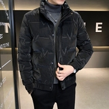 店主风冬季羽绒服男短款立领标50绒羽绒外套8707--TP120，男装羽绒服，电商D238