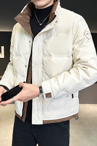 2025冬季新款羽绒服男立领短款拼色标绒羽绒外套D66-P155图片