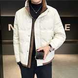 2024冬季新款羽绒服男立领短款拼色标绒羽绒外套D66-P155，男装羽绒服，电商D238