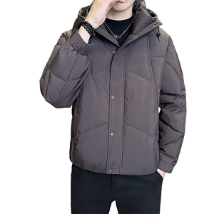 店主风数据款2025冬季新款羽绒服男短款连帽加厚外套8172--P210图片
