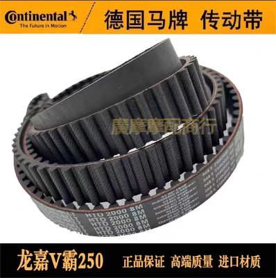 龙嘉V霸250灰石300金吉拉皮带