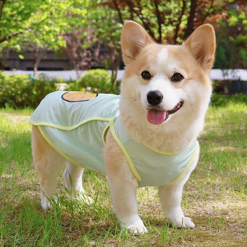 柴犬腊肠比熊柯基衣服防掉毛防晒狗狗凉凉衣服春夏天薄款防脏背心