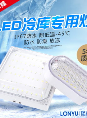 冷库专用led灯冰库冻库低温防水防爆防雾三防浴室卫生间照明灯
