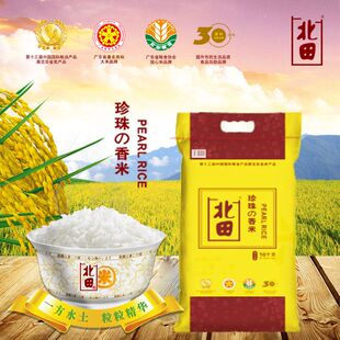 北田牌珍珠香米 水晶珍珠米 东北大米 10KG/20斤