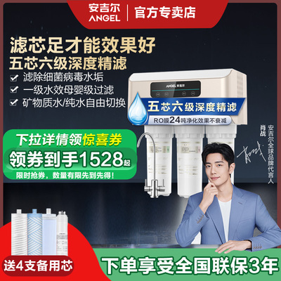 安吉尔净水器家用直饮无桶净水机厨房自来水过滤芯反渗透RO过滤V6