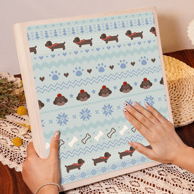 相册本插页式相簿拍立得