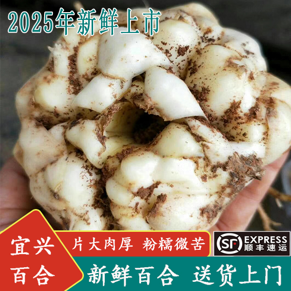 2025年新鲜百合顺丰包邮