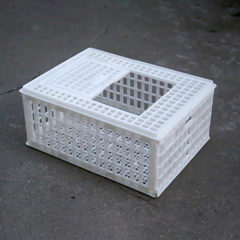 大号塑料家禽运输笼 鸡鸭笼兔运输家禽 鹅周转筐周转箱 塑料鸡笼