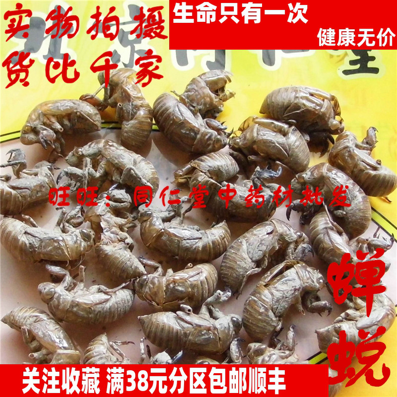 50克 蝉蜕 虫退知了皮蝉衣 可打粉 特级北京同某堂中药材同品质精
