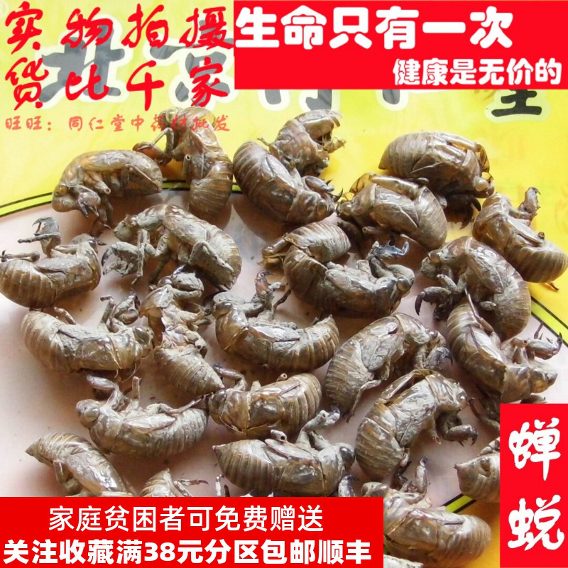 50克 蝉蜕虫退知了皮蝉衣可打粉 中药材同品质精选天然无添加