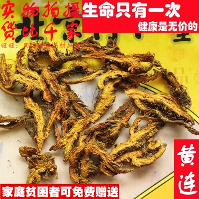 50克 黄莲川黄连 可打粉 品质精选