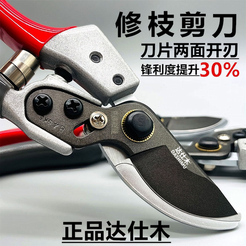 修枝剪园艺剪粗枝剪花剪