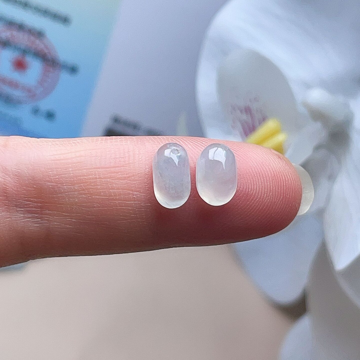 天然翡翠冰种蛋面耳坠乳白淡绿