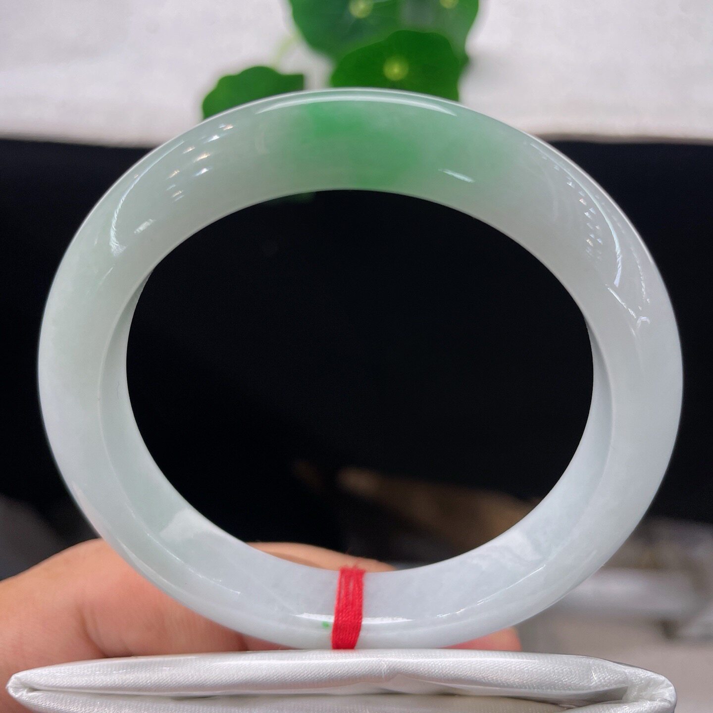 天然A货白飘阳绿正圈手镯54圈缅甸老坑白底青玉镯白糯玉环镯子