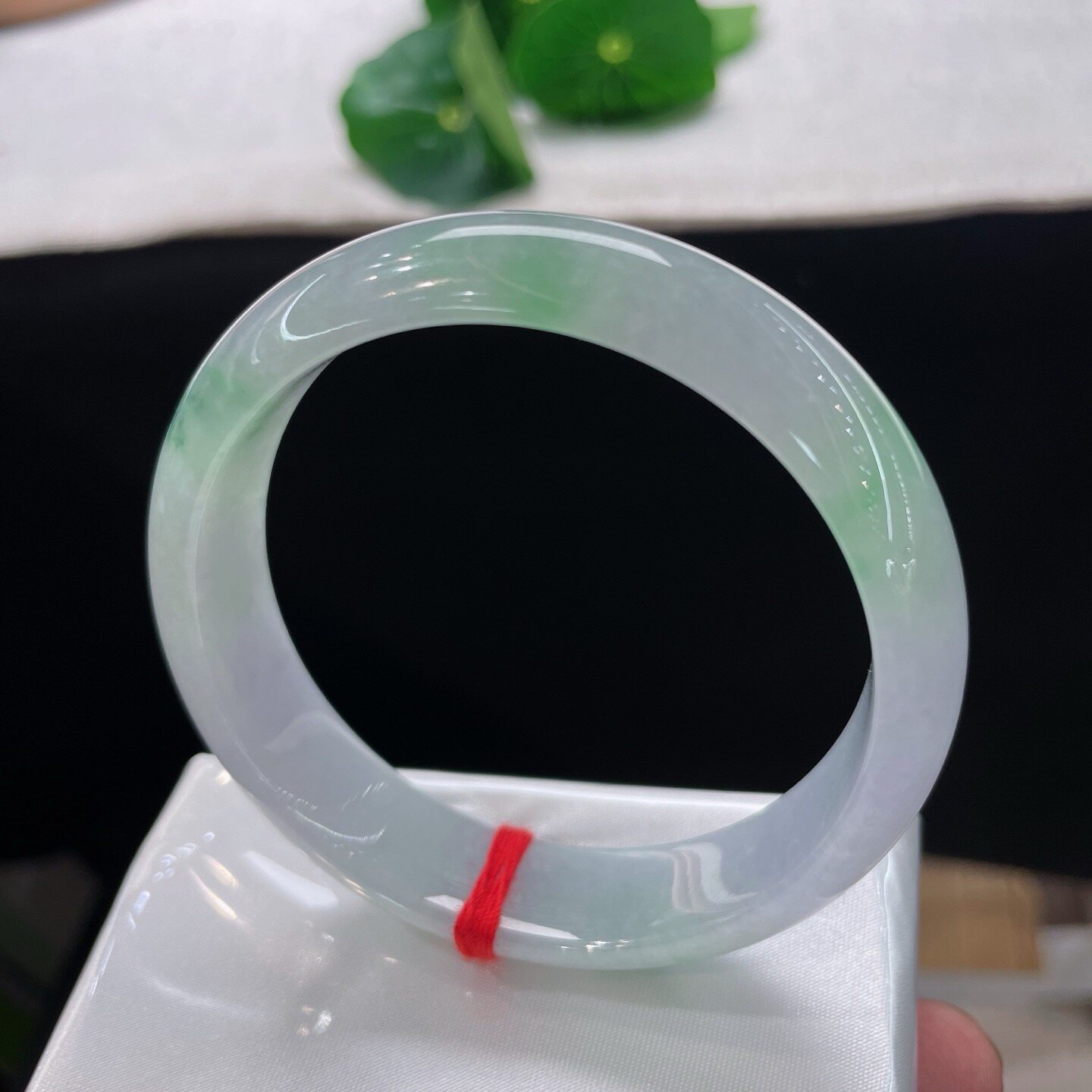 天然A货翡翠手镯飘阳绿55mm缅甸老坑玉镯晴底飘花手环正圈镯子