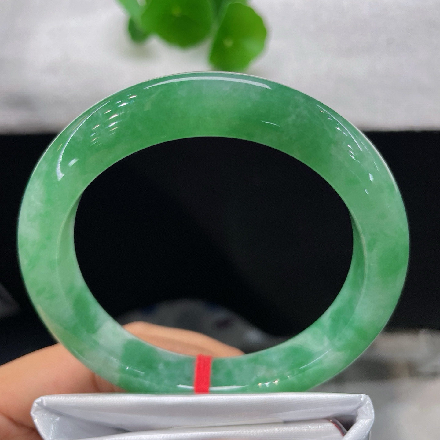 A货翡翠手镯冰糯种飘阳绿60.5mm天然老坑满绿玉镯辣绿飘花意境