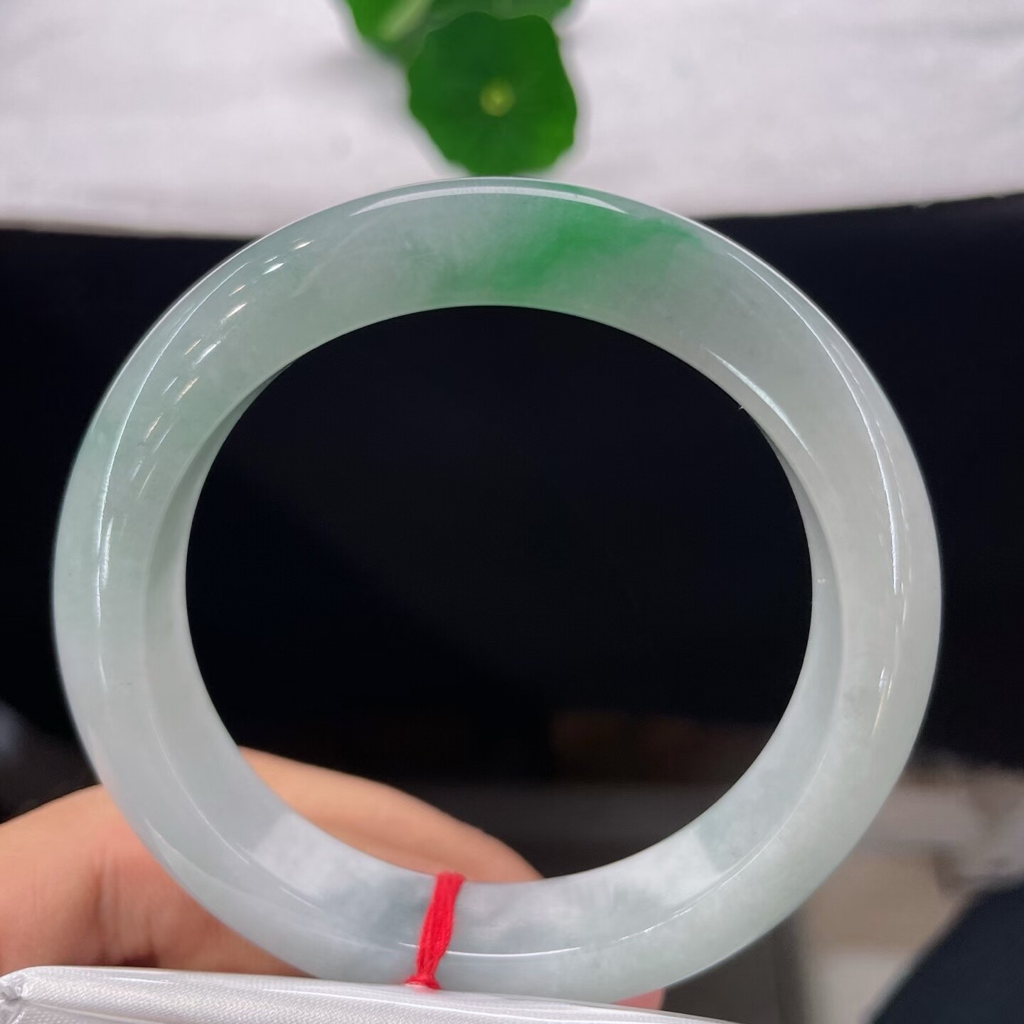 天然A货翡翠白底青手镯55.5乳白飘绿缅甸老坑玉镯一抹绿正圈镯子