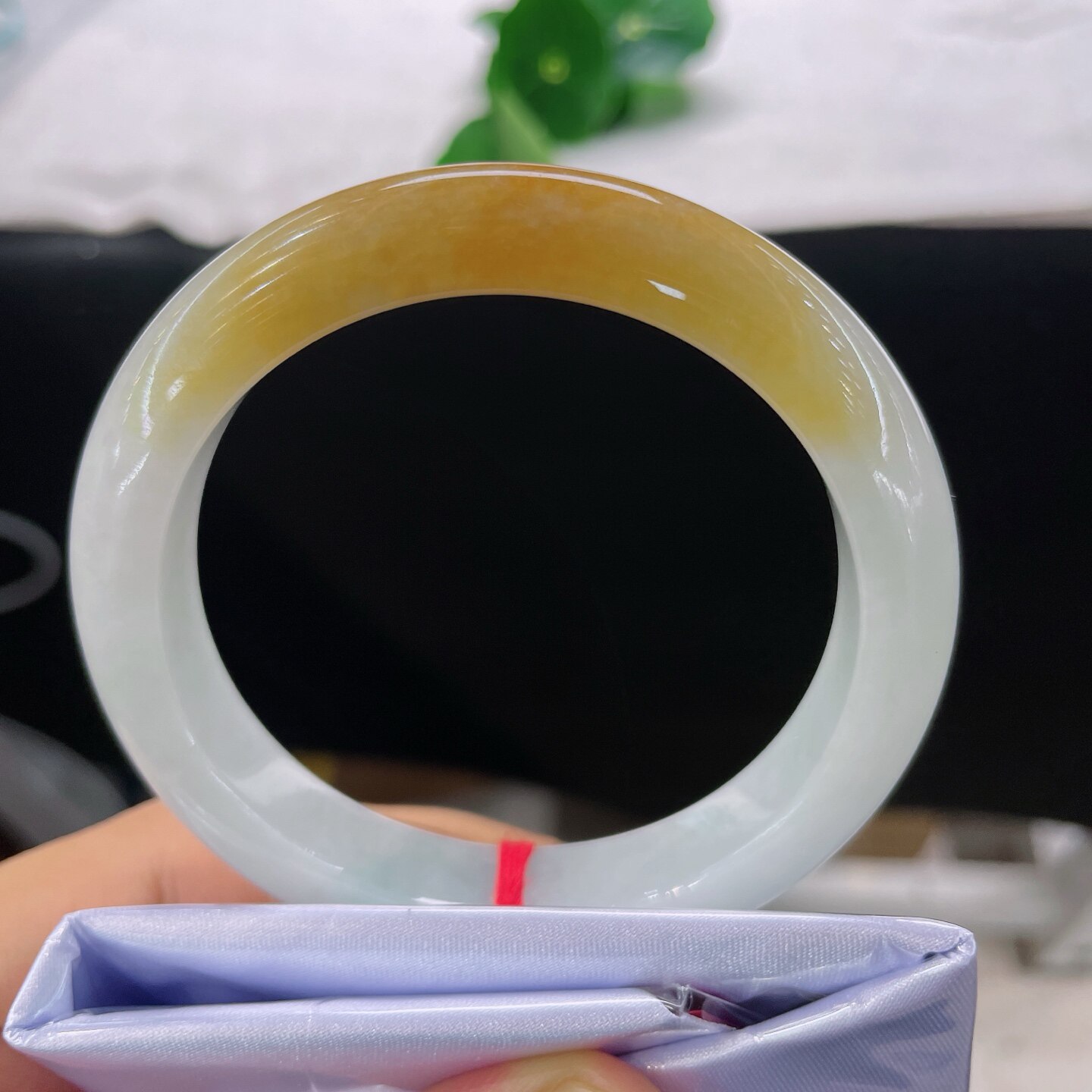 天然A货翡翠黄翡手镯57圈口缅甸老坑黄加白正圈镯子白底金玉镯