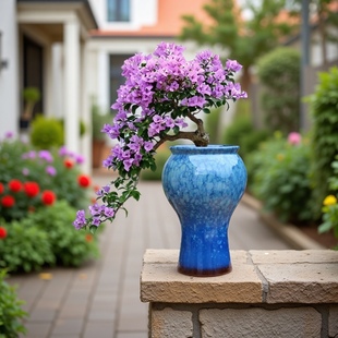 三角梅飘枝盆家用多肉粗陶透气花盆大口径九尾狐高款老桩陶瓷花盆