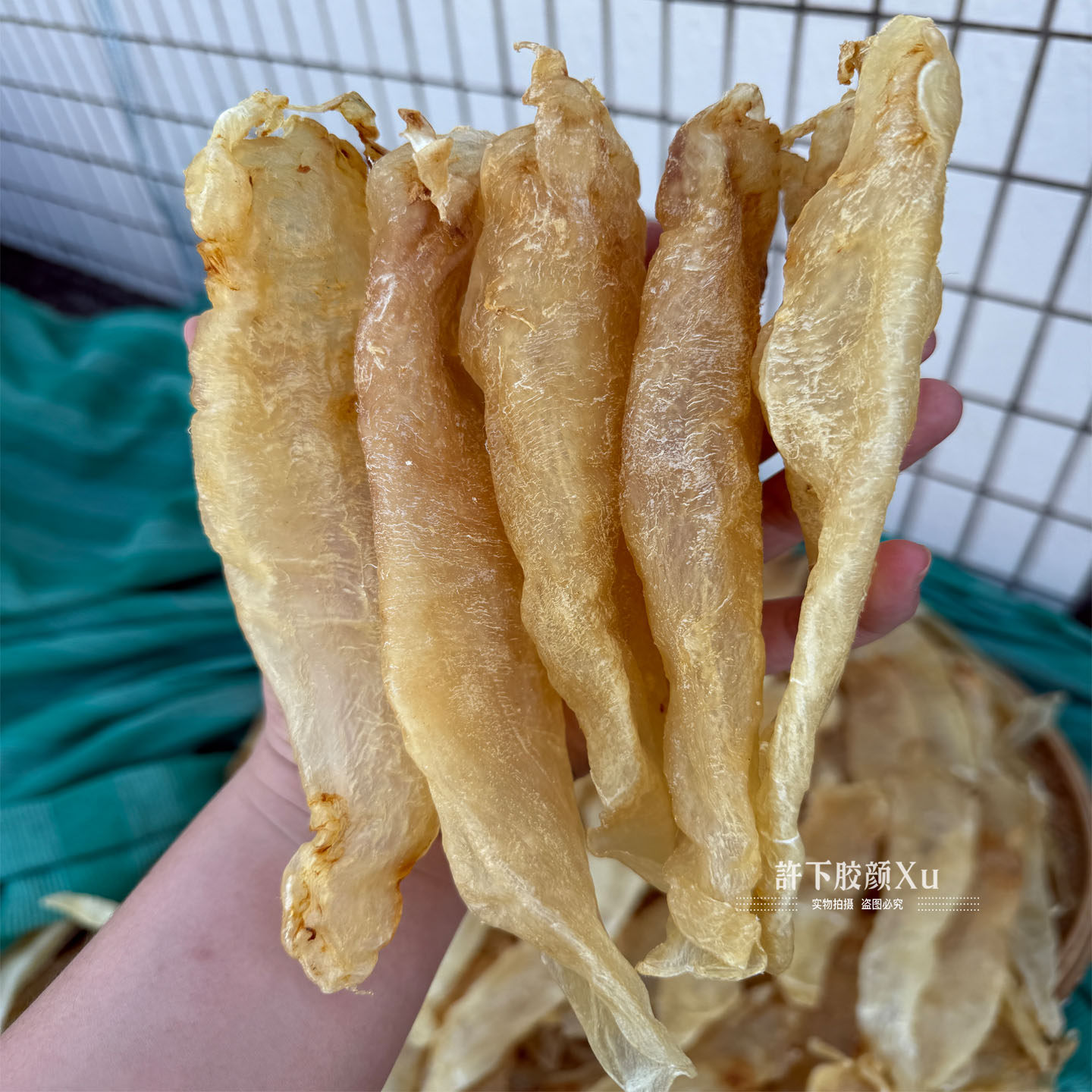 深海野生北海鳘鱼胶黄花胶干货