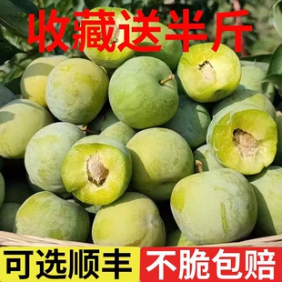 顺丰汶川脱骨李子新鲜孕妇水果江安四川甜翠李5整箱应季空心青脆