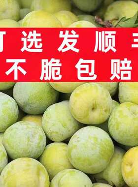 四川脱骨李子新鲜孕妇水果脆甜眉山汶川甜翠李整箱应季空心青脆李