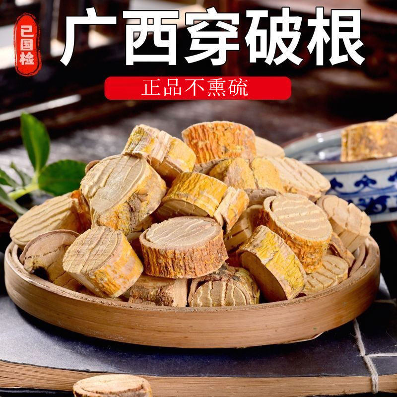 穿破石柘根中药材川破石片柘树木根黄蛇根地棉根九层