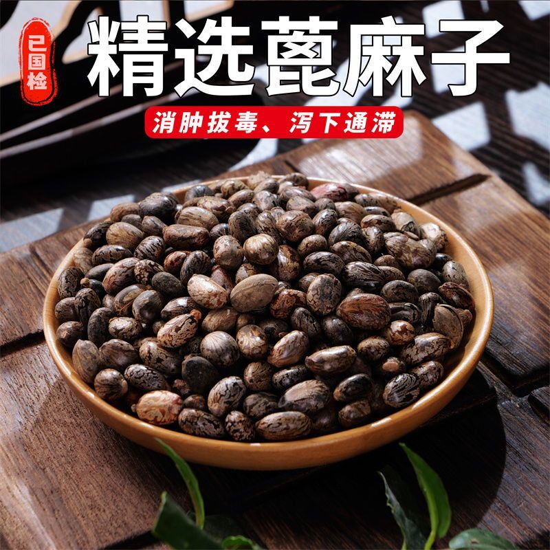蓖麻子中药材新货野生蓖麻子蓖麻籽红大中药材蓖麻仁