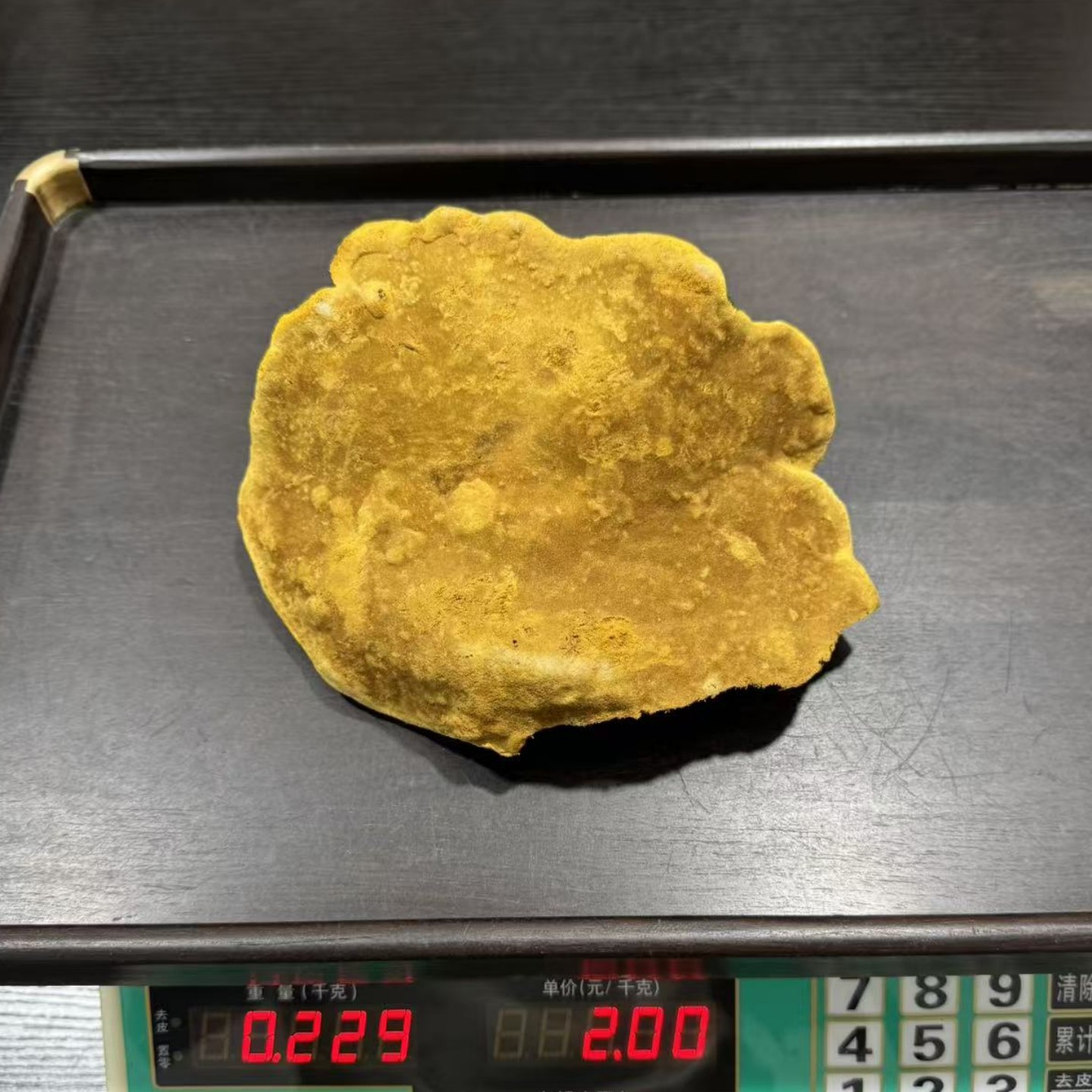 西藏野生桑树桑黄灵芝