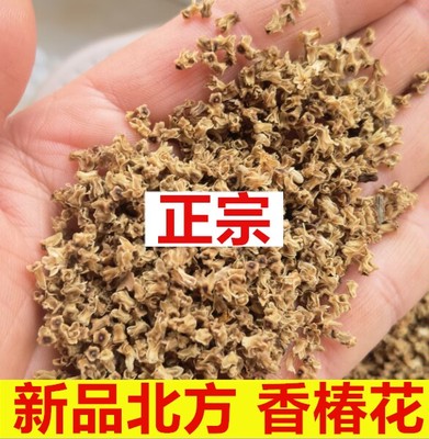 中药材香椿花50克 天然新鲜嗮干椿树果子 香椿铃椿芽 香椿树花