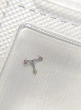 手表配件 全新原装 瑞士SW200机芯配件 马轮 擒纵轮  马叉 擒纵叉